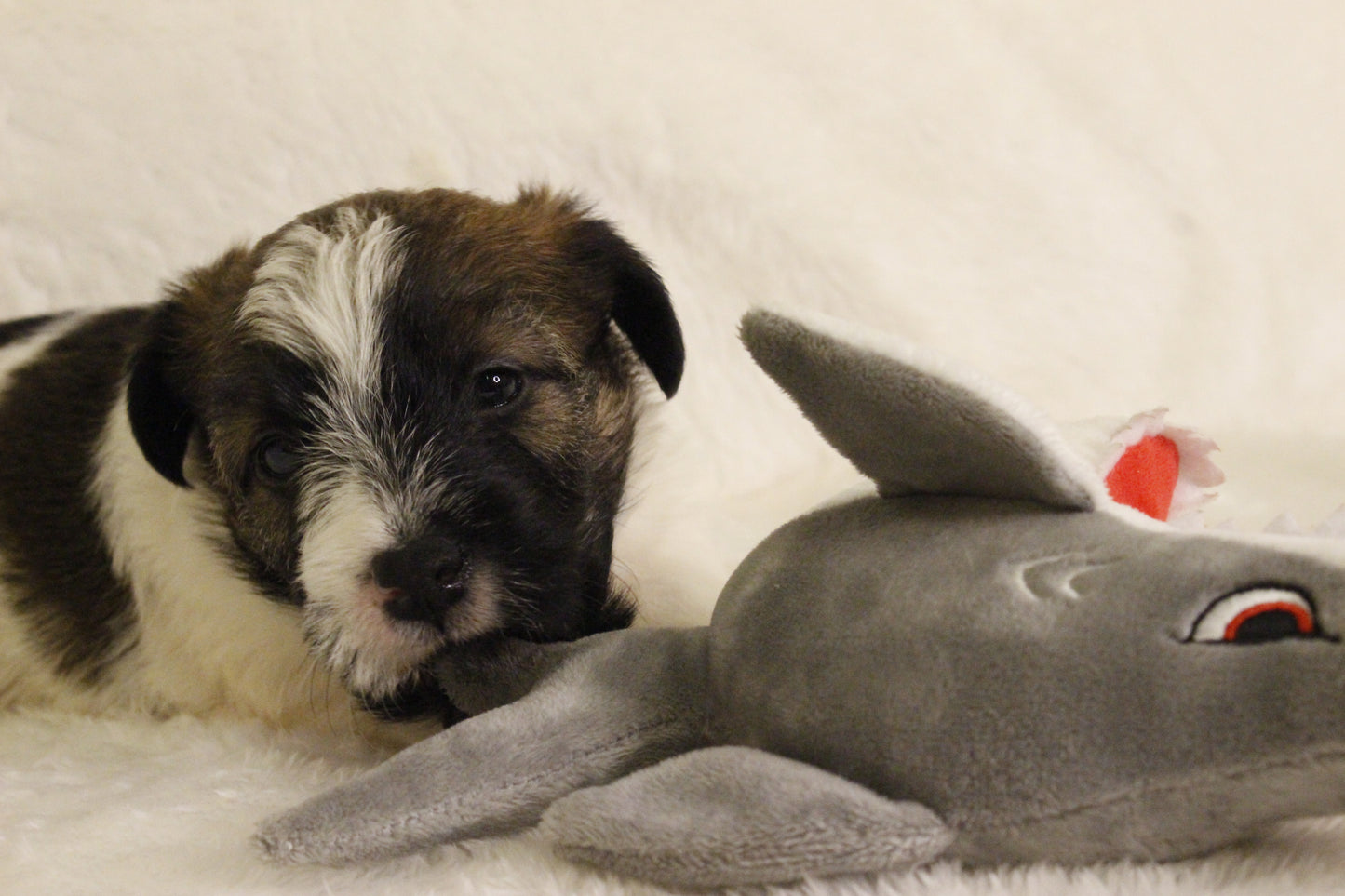 ミルベビー④ 男の子