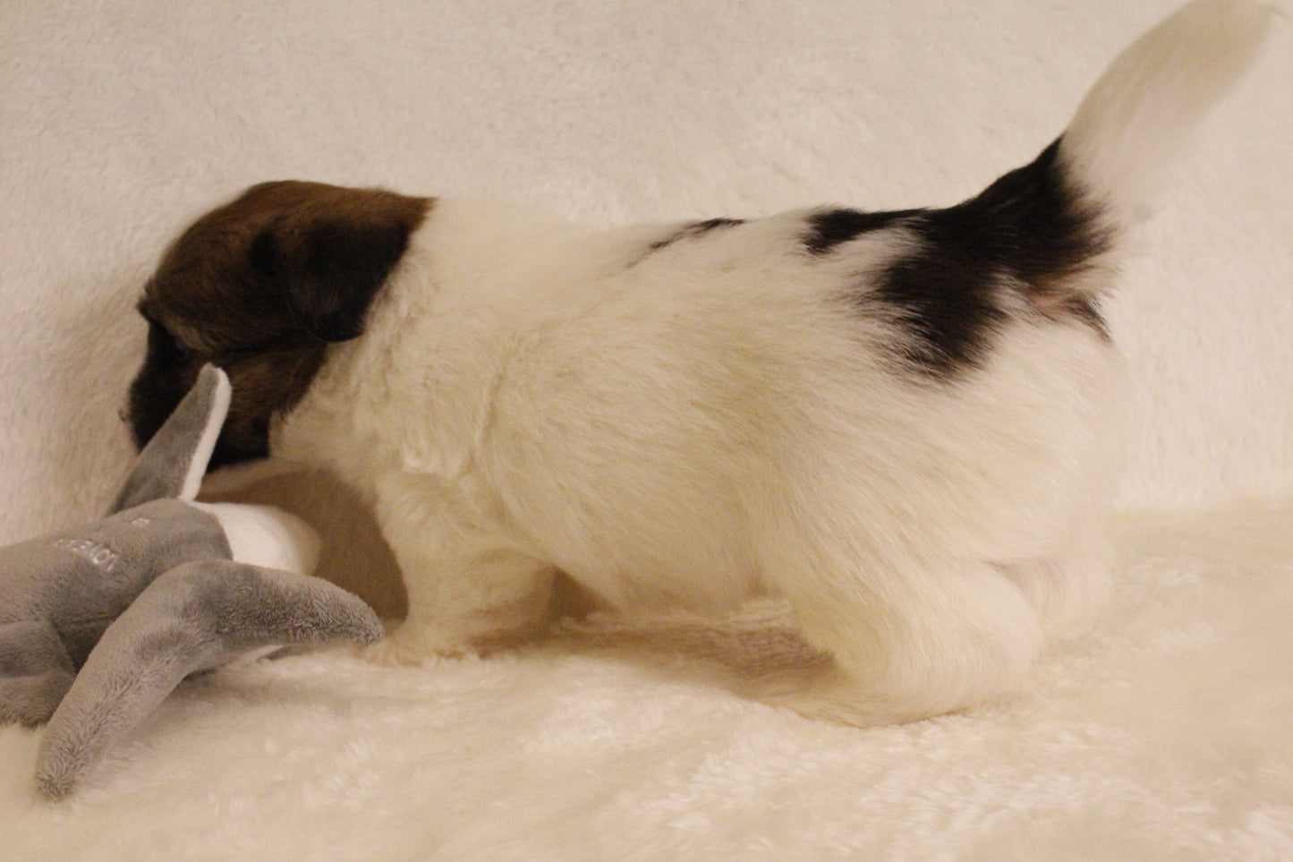 ミルベビー① 男の子