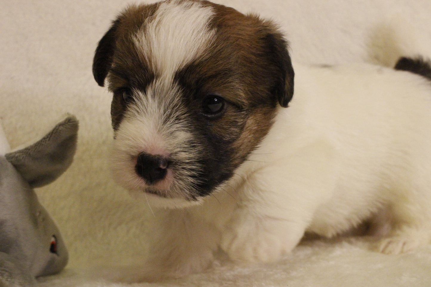 ミルベビー① 男の子