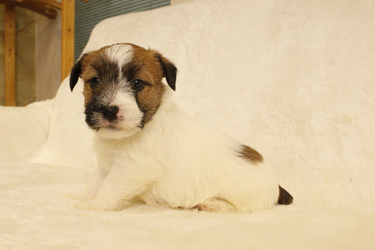 ミルベビー② 男の子