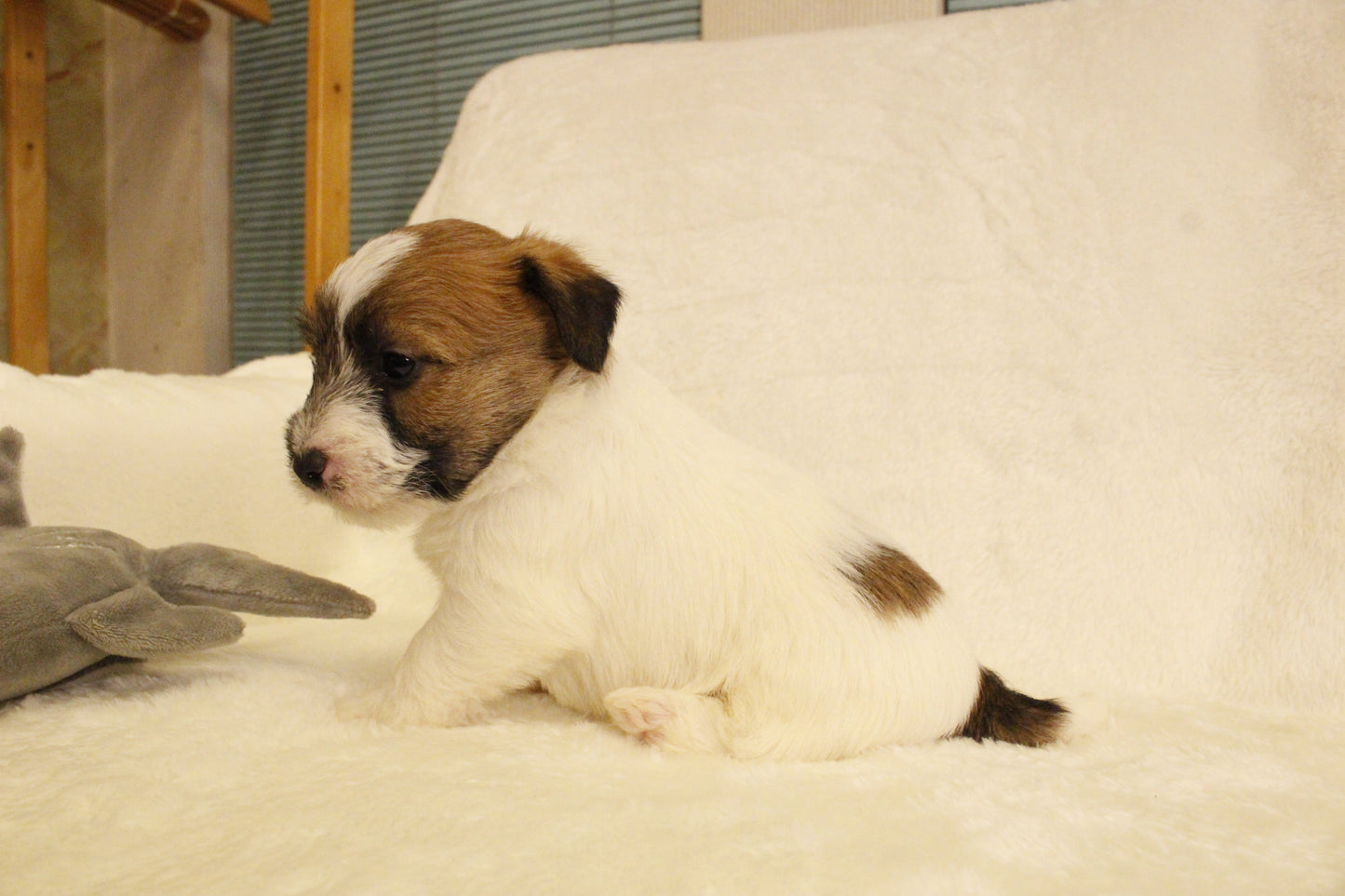 ミルベビー② 男の子