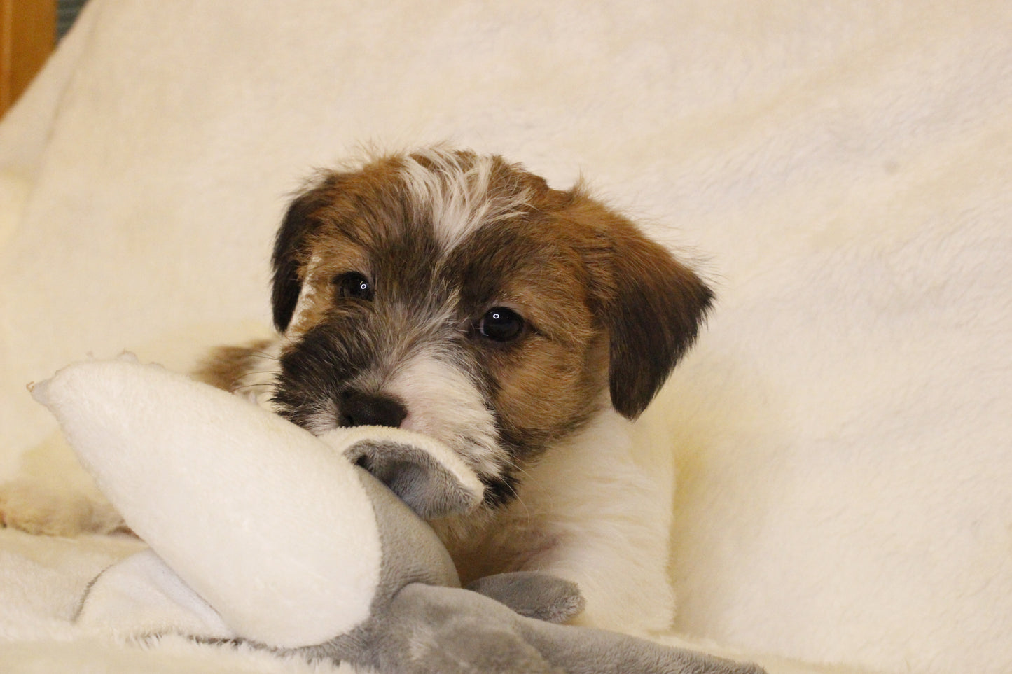 ミルベビー② 男の子