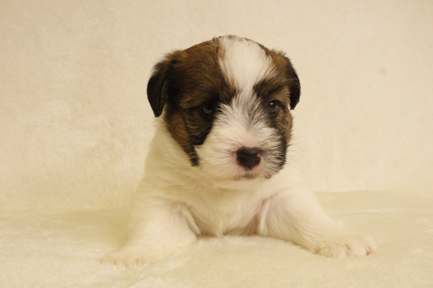 ミルベビー① 男の子