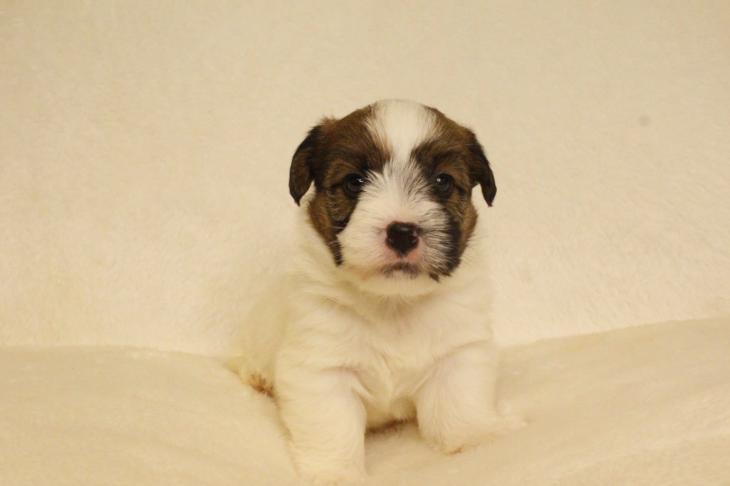 ミルベビー① 男の子