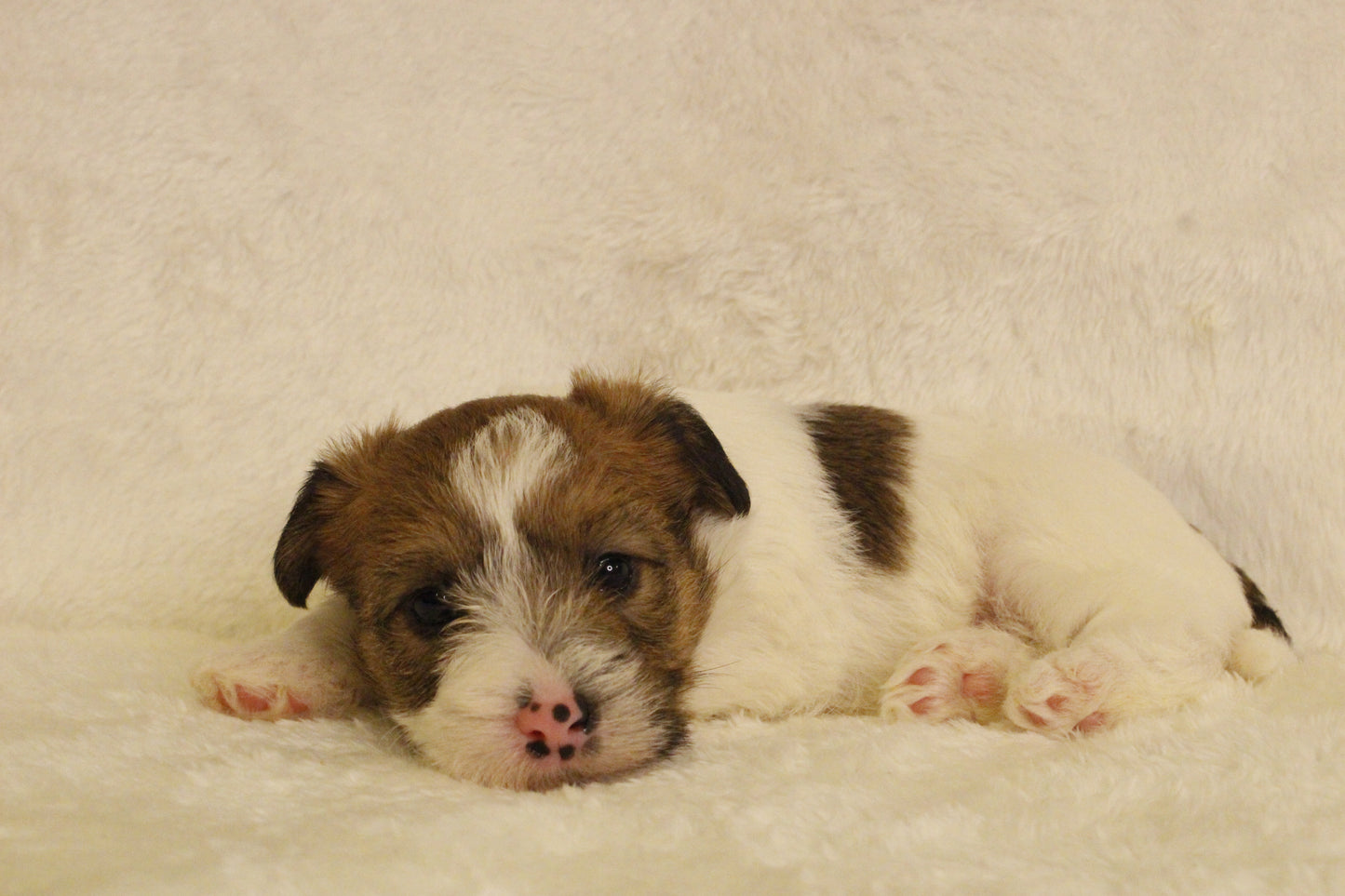 ミルベビー⑤ 女の子