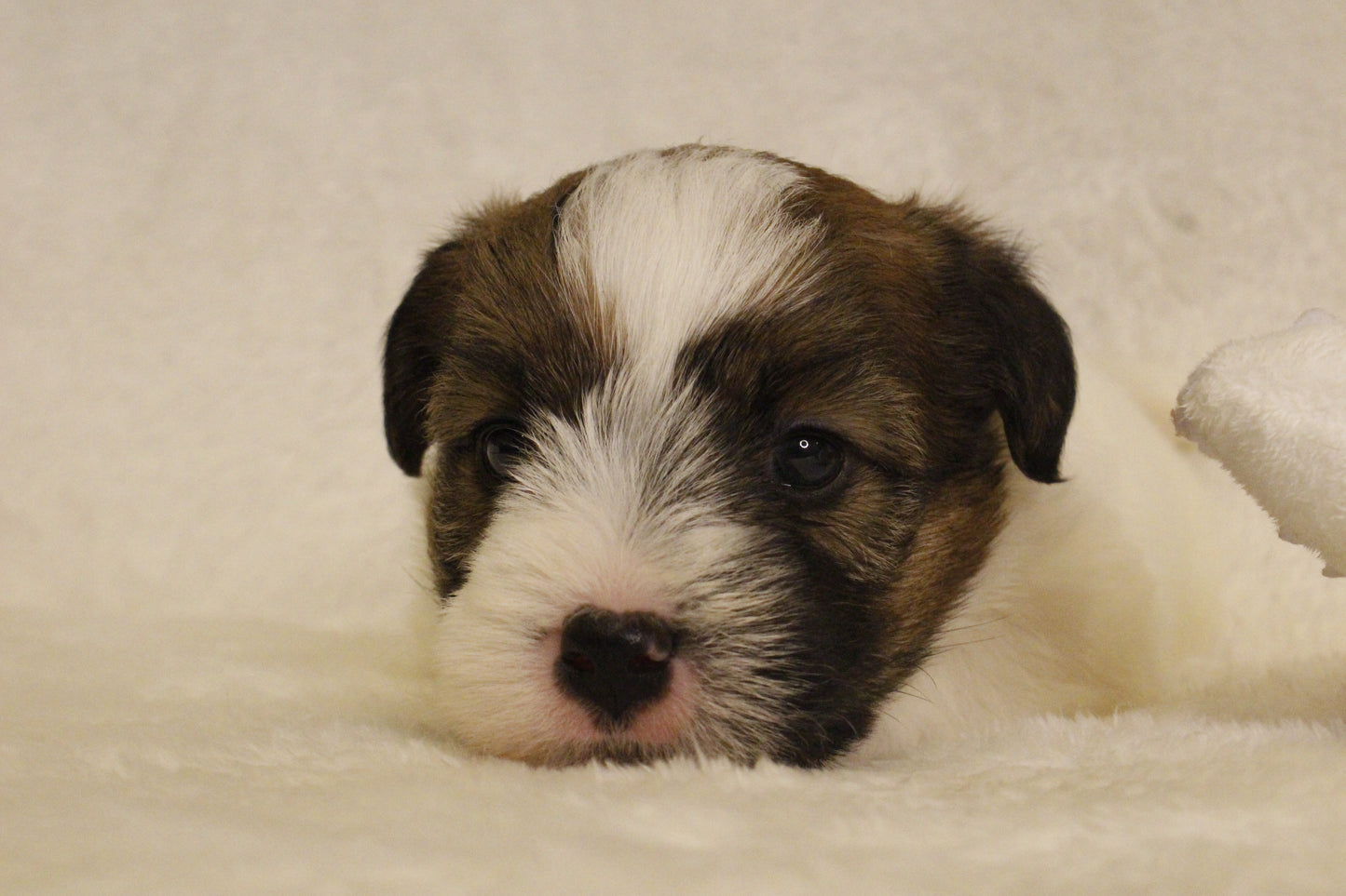 ミルベビー① 男の子