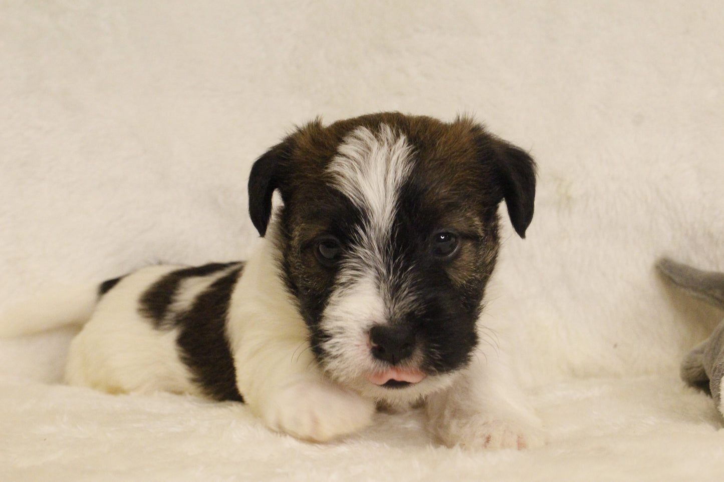 ミルベビー④ 男の子