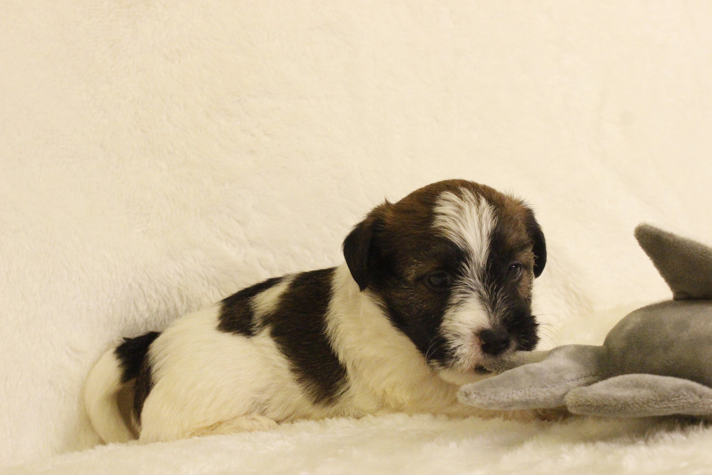 ミルベビー④ 男の子