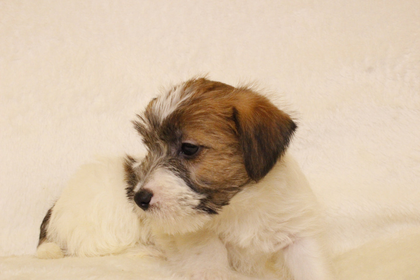 ミルベビー② 男の子