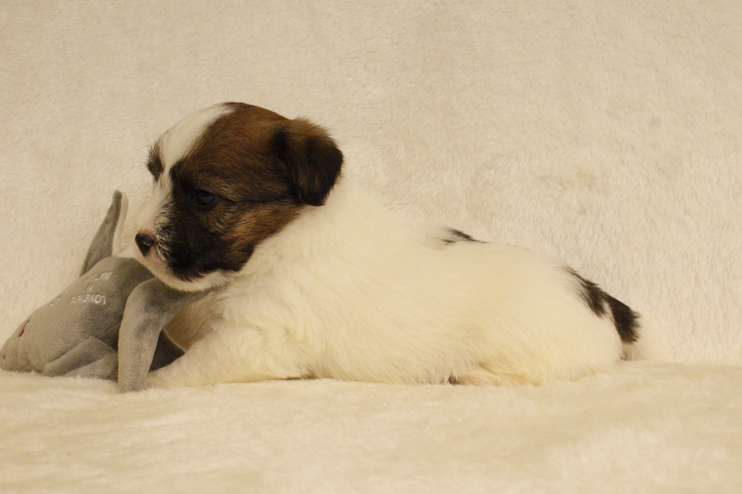 ミルベビー① 男の子