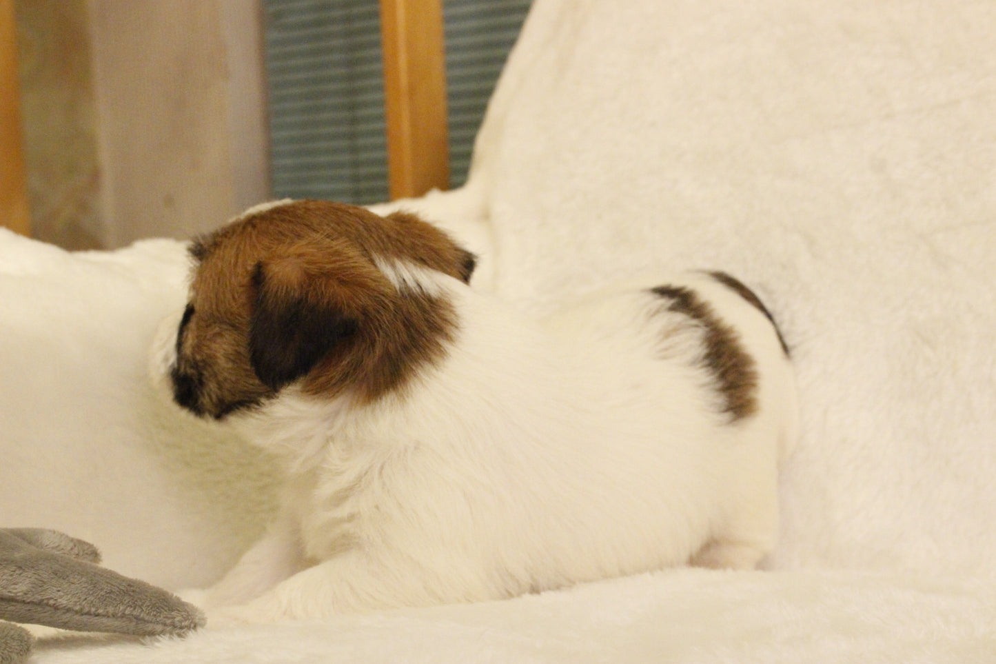 ミルベビー② 男の子