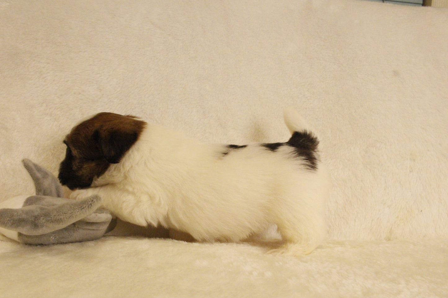 ミルベビー① 男の子