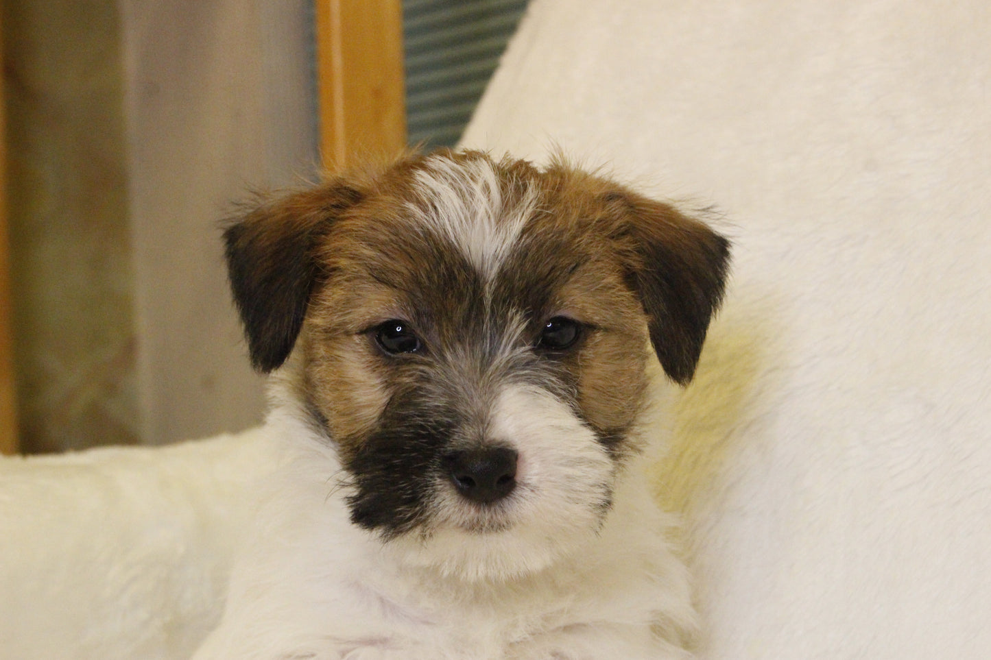 ミルベビー② 男の子