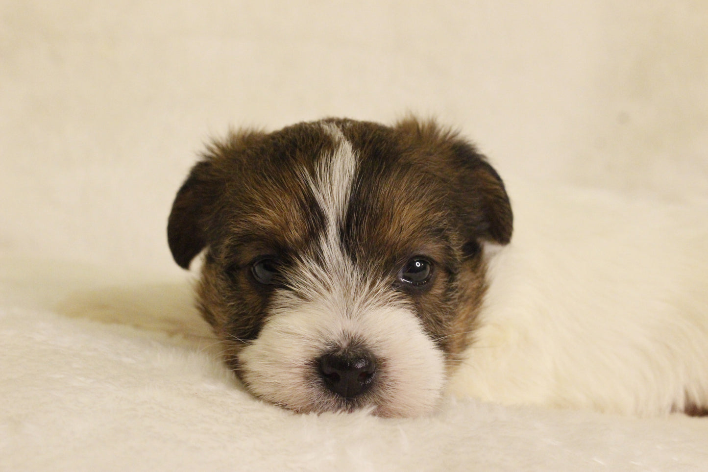 ミルベビー③ 女の子