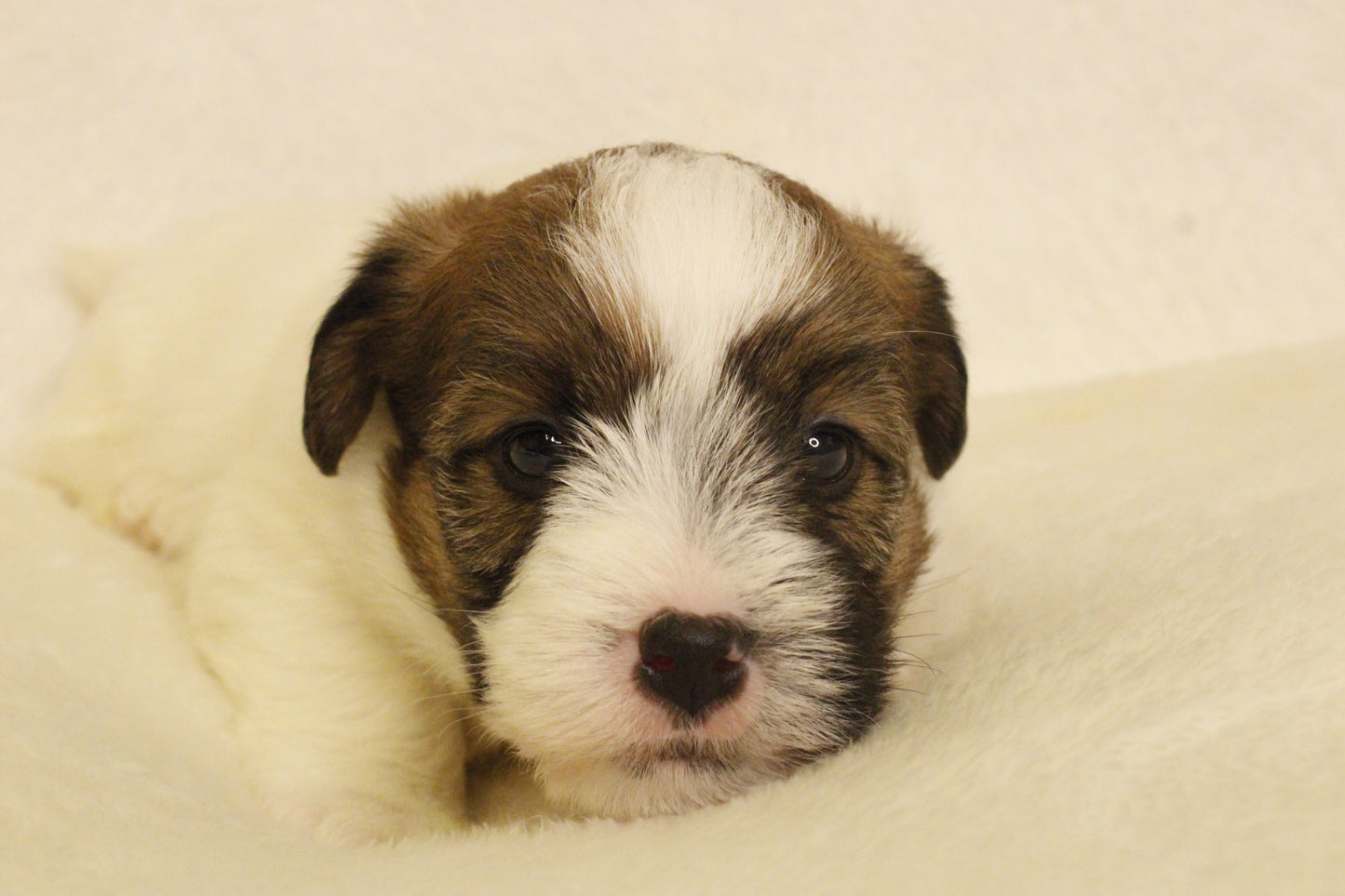 ミルベビー① 男の子