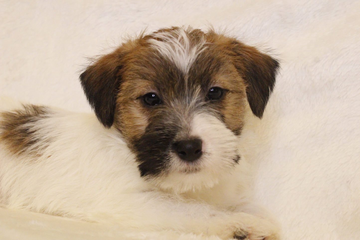 ミルベビー② 男の子