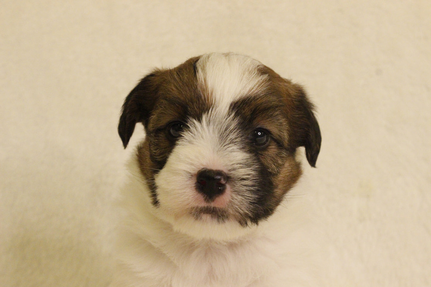 ミルベビー① 男の子