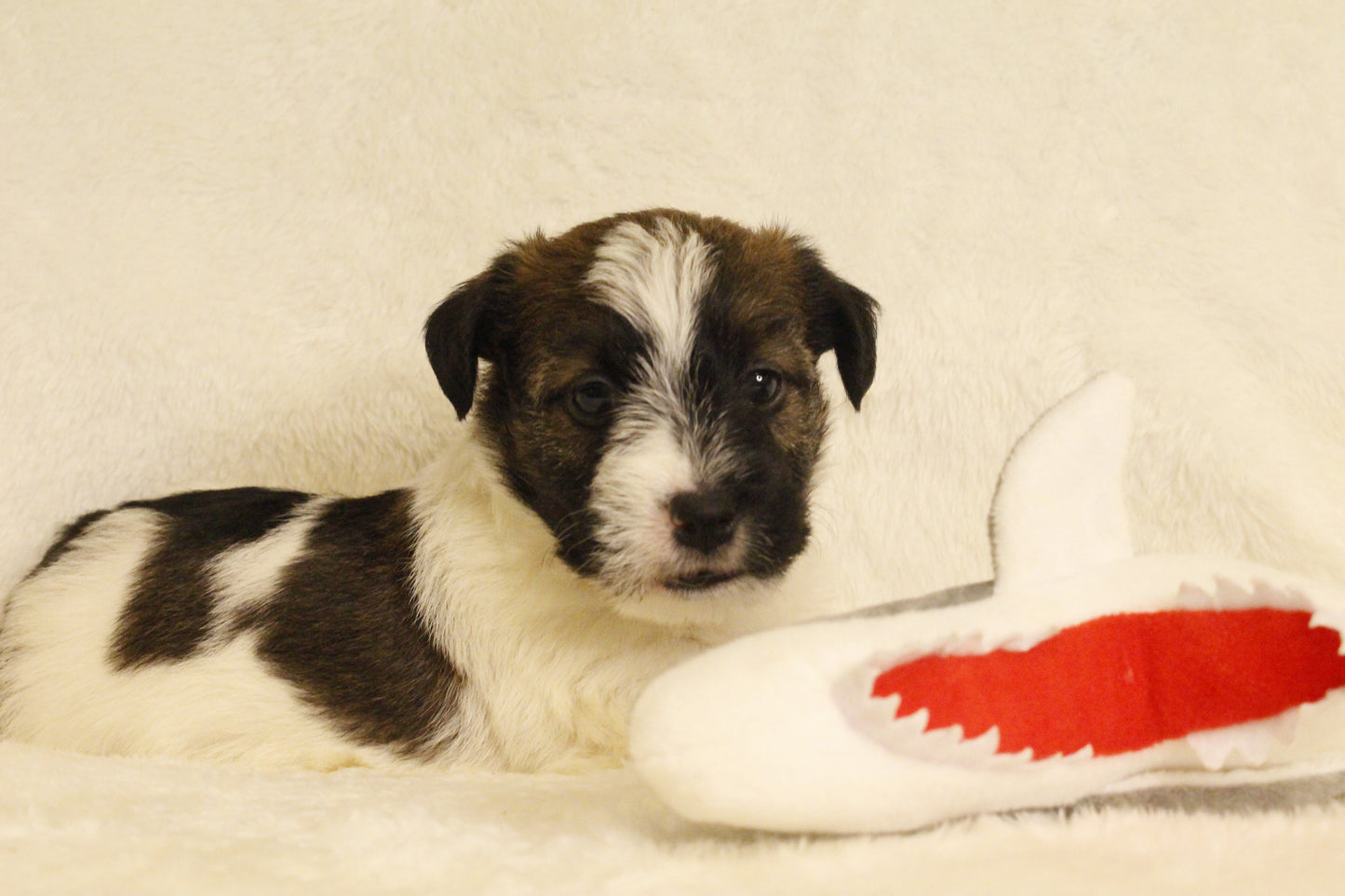 ミルベビー④ 男の子