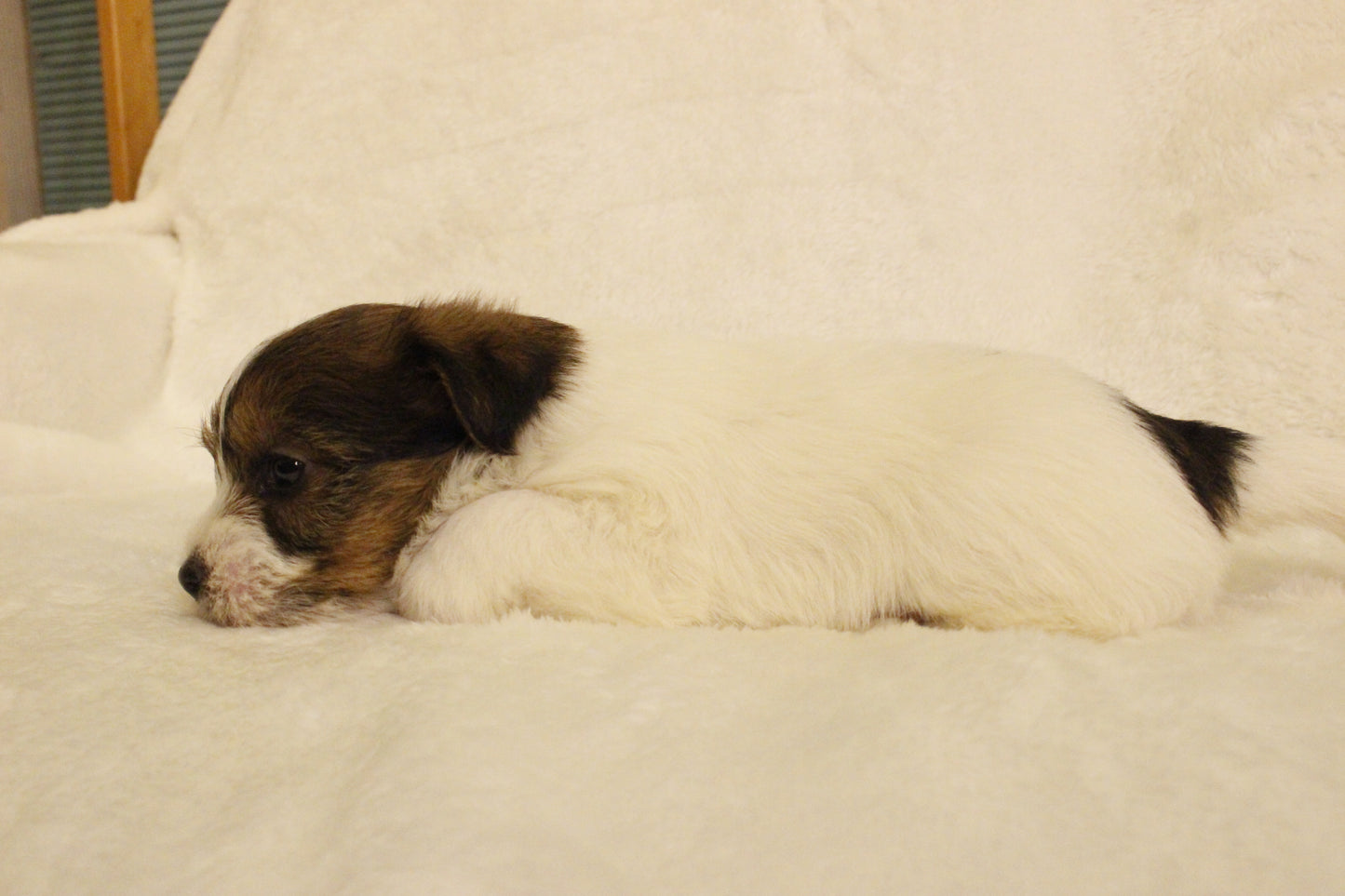 ミルベビー③ 女の子