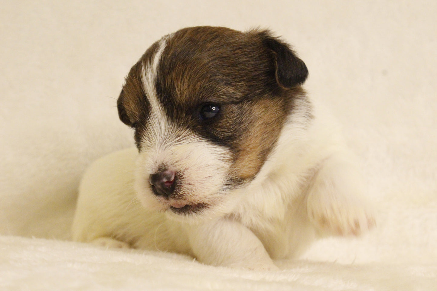 ミルベビー③ 女の子