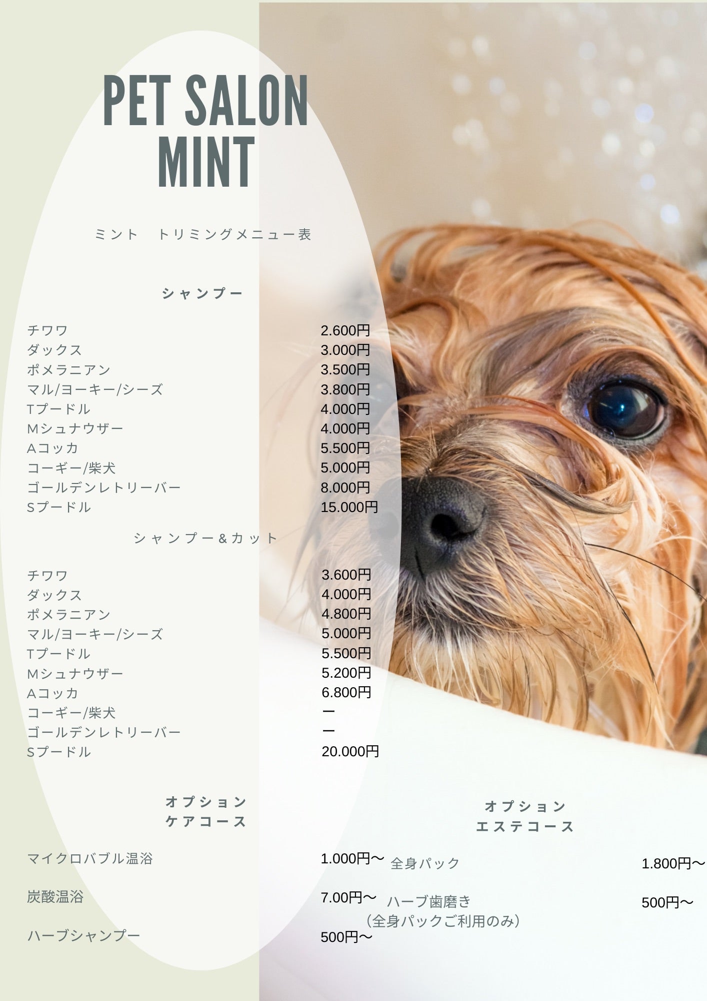 （仮）Pet salon Mint