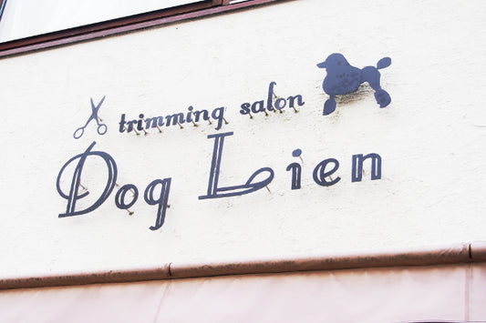 Dog Lien