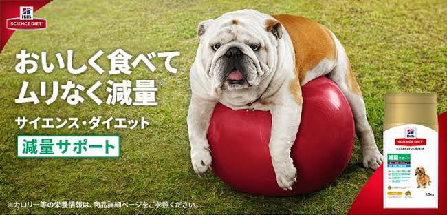 [日本ヒルズ] サイエンス・ダイエット 減量サポート 中粒 中型犬用 2.5kg