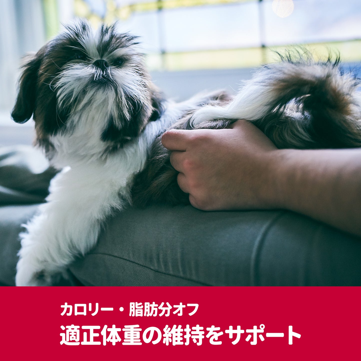 [日本ヒルズ] サイエンス・ダイエットプロ 小型犬用 健康ガード 体重管理 1～6歳 1.5kg